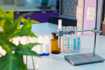 Laboratory glassware, bottle, flasks for experiment in lab.