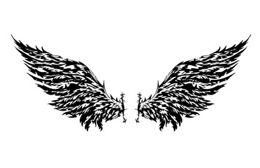 Broken wings on a white background