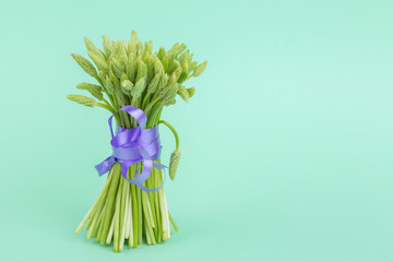 bouquet of wild asparagus. Edible plants. gift of nature organic food