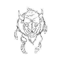 Feathers and the head of a Buffalo on and white  background