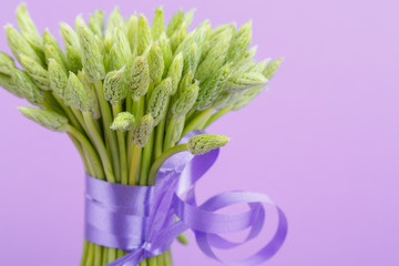 bouquet of wild asparagus. Edible plants. gift of nature organic food