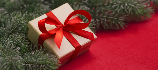 Gift and branches of Christmas tree