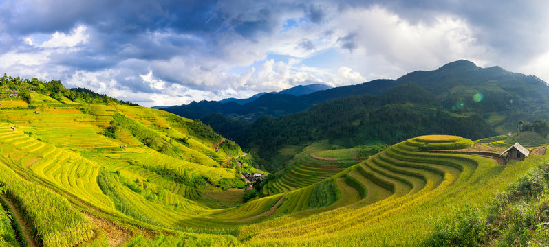 Mu Cang Chai