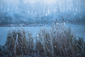 Mystic fantasy scene a frosty day