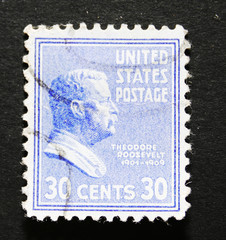 Postage stamp of Theodore Roosevelt