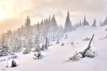 Dawn in mountain on snow