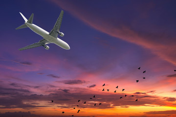 Airplane flying