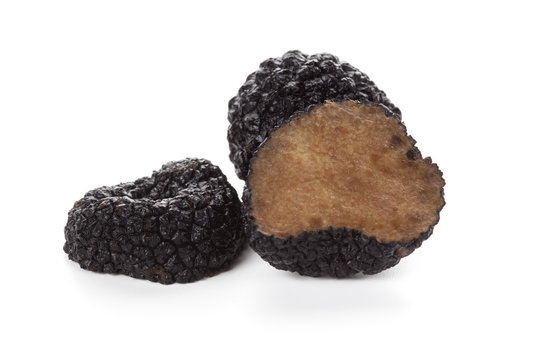 Black truffles macro isolated on white background