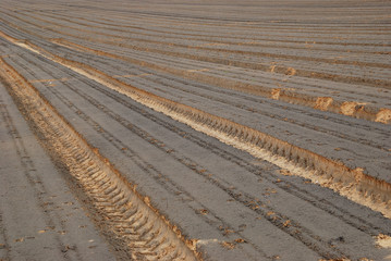 The ploughed field
