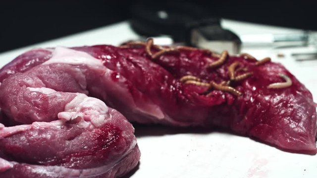4k Horror and Bloody Shot of Raw Meat with Worms