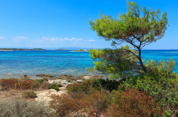 Aegean sea coast (Chalkidiki, Greece).