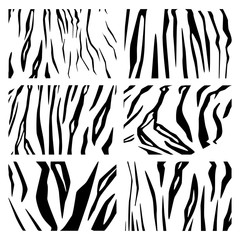 set of skins of a tiger