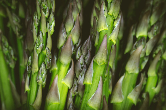 Close Up Of Asparagus