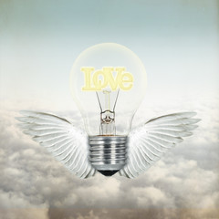 love light bulb with wings