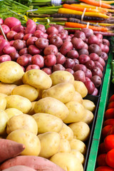 whole food of outdoors market