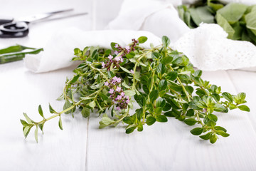 Bundle of flowering thyme on white. Rustic style.