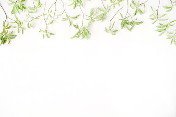 green leaf pattern on white background. flat lay header