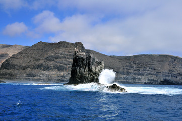 canaries gomera