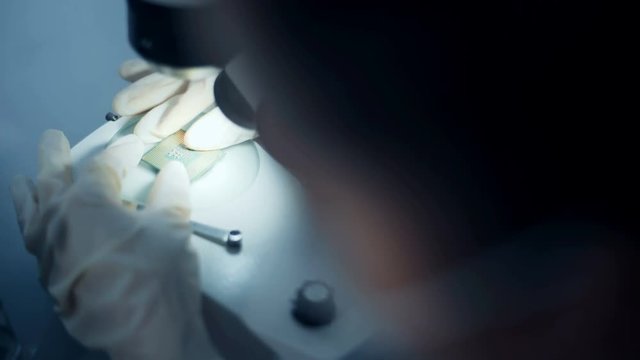 Professional scientist holding and observing the micro chip.
