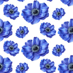 Handwork watercolor seamless pattern with blue anemones isolated on white background.
Botanical illustration - 130082588