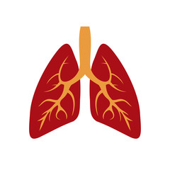 Vector illustration of human lungs icon