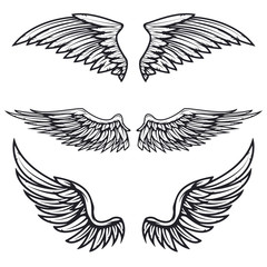Set of vintage vector wings isolated on white background. Design elements for logo, label, emblem, sign, brand mark. Vector illustration. 