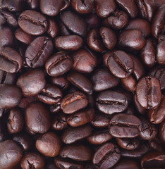 Coffee beans texture for background
