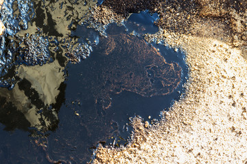 Crude oil on oil spill