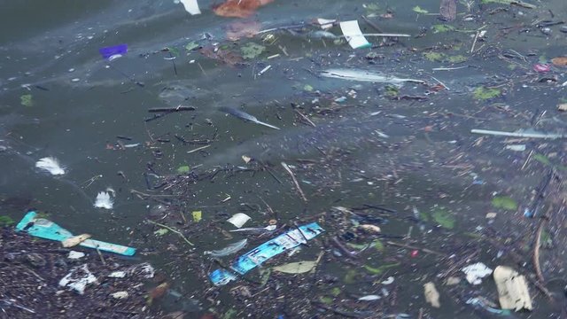 Consequences of urban water pollution