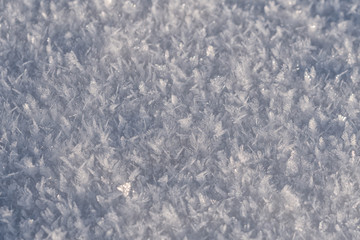 Obraz premium Detail of frozen snow with crystals