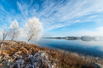 Winter Frost Landscape
