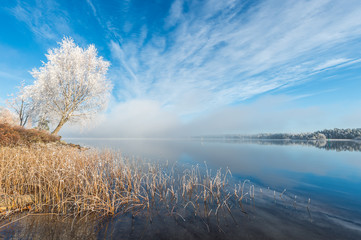 Winter Frost Tree Lake with Blue sky