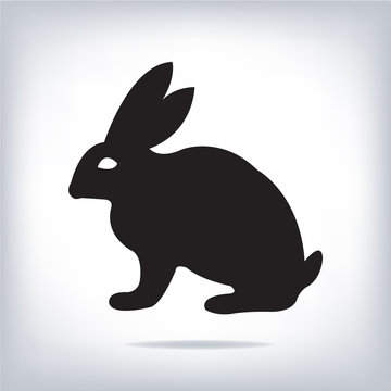 Vector image of an rabbit