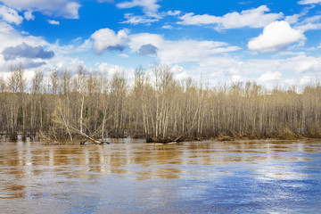 The spring flood on the river Berd