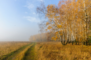 Осенний пейзаж с видом дороги вдоль леса с...
