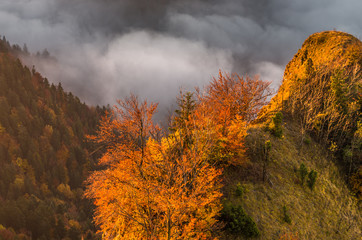 Autumn panorama of Pieniny mountains, Poland