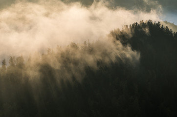 Obraz na płótnie Canvas Morning mists illuminated by the sun in morning Pieniny mountains, Poland