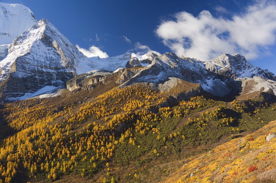 Xiannairi mountain, Yading Nature Reserve, Sichuan Province, China