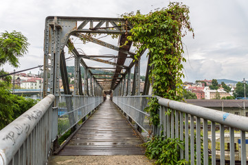 Bridge passing over a town with creepers over it