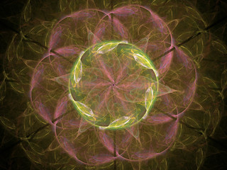 Fractal pattern of  pink  green flower with petals  on  black background