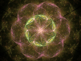 Fractal pattern of  pink  green flower with petals  on  black background