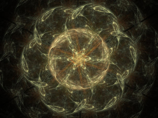 Fractal pattern of  brown flower with petals  on  black background