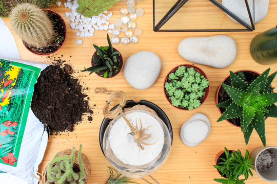 How To Make A Terrarium