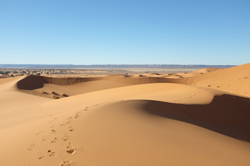 Fototapeta na wymiar Dunes with Footsteps in the Desert