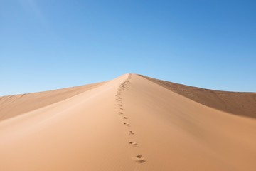 Fototapeta na wymiar Dune with Footsteps in the Desert