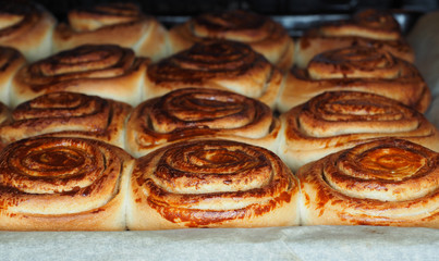 Closeup of fresh baked cinnamon buns after baking in oven, with