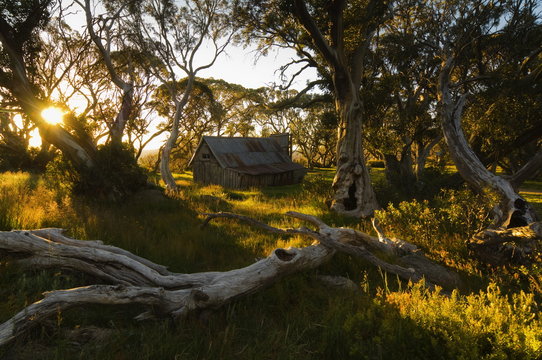 Wallace's Hut, Bogong High Plains, Apline National Park, Victoria