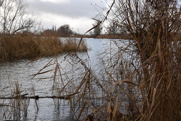 Water on a warm winterday