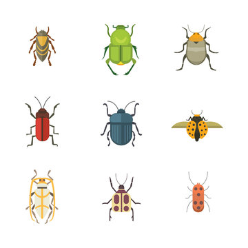 Set of insects flat style vector design icons. Collection  nature beetle and zoology cartoon illustration