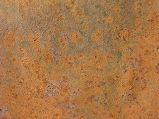 Rusty metallic sheet. Texture.
